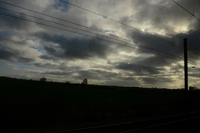 DSC_7173 (Large).JPG